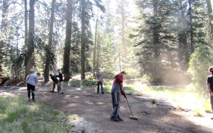 A group of outward bound students use gardening tools to work on a trail in a wooded area. 